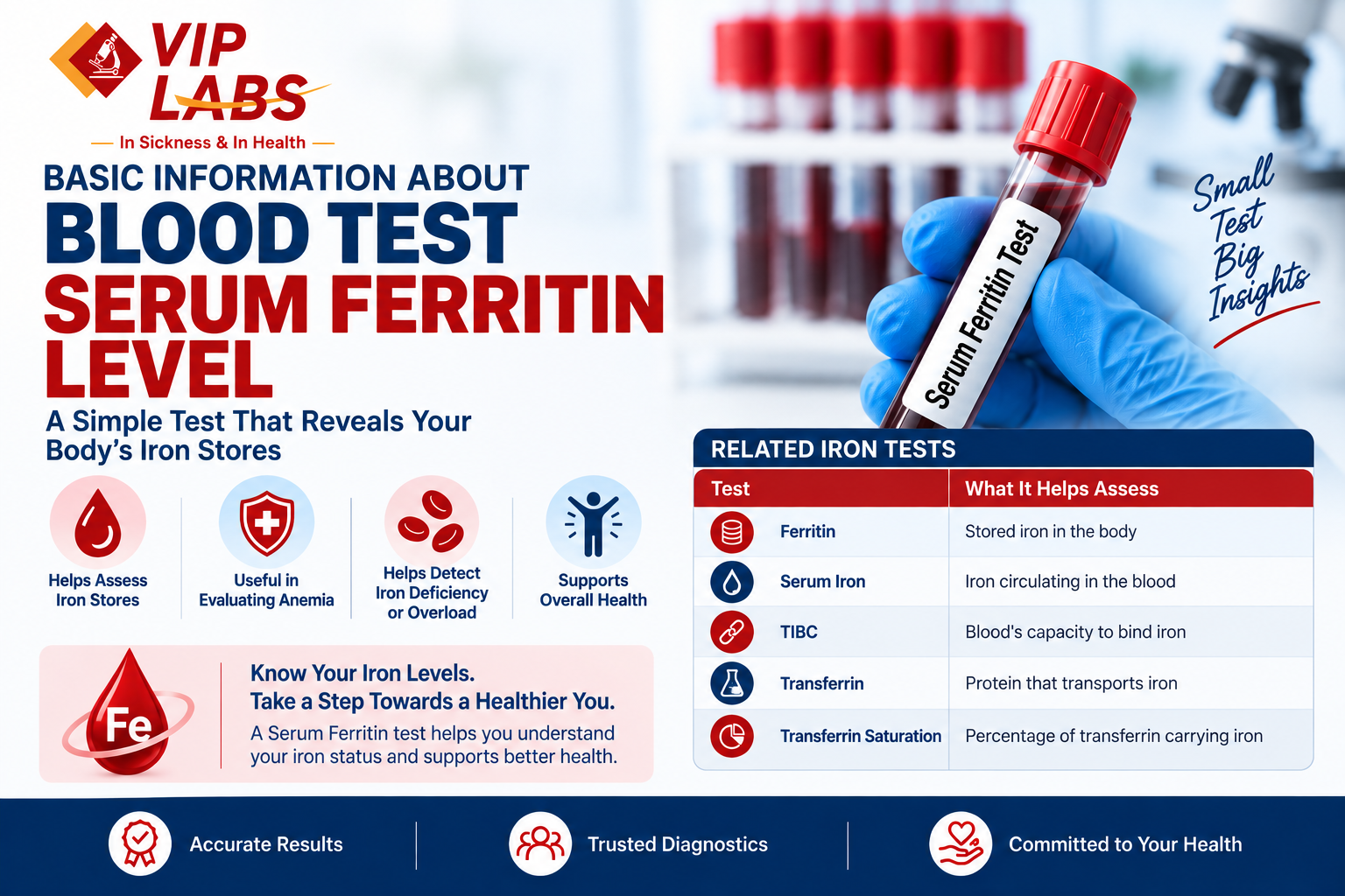 Basic Information About Blood Test Serum Ferritin Level